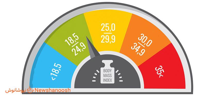 شاخص توده بدنی