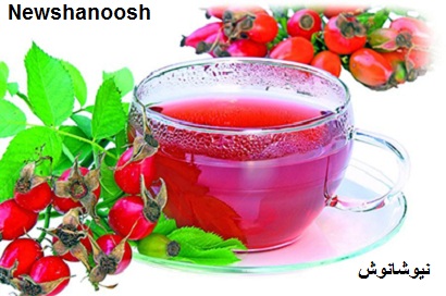 دمنوش خوشمزه دمنوش گیاهی دمنوش خوشمزه گیاهی