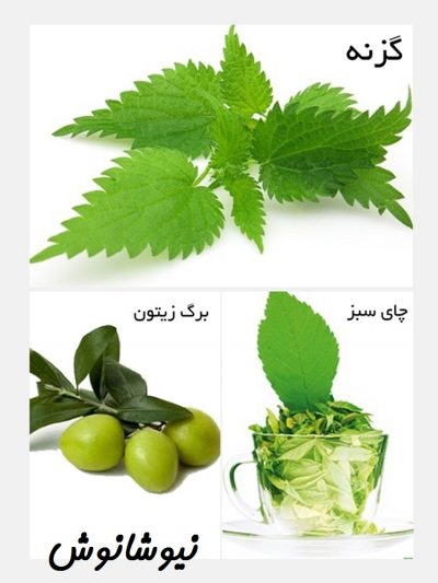 دمنوش لاغری-دمنوش کاهش وزن-نیوشانوش-دمنوش گزنه-دمنوش برگ زیتون