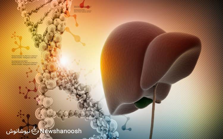مصرف دمنوش نیوشا برای درمان کبد چرب